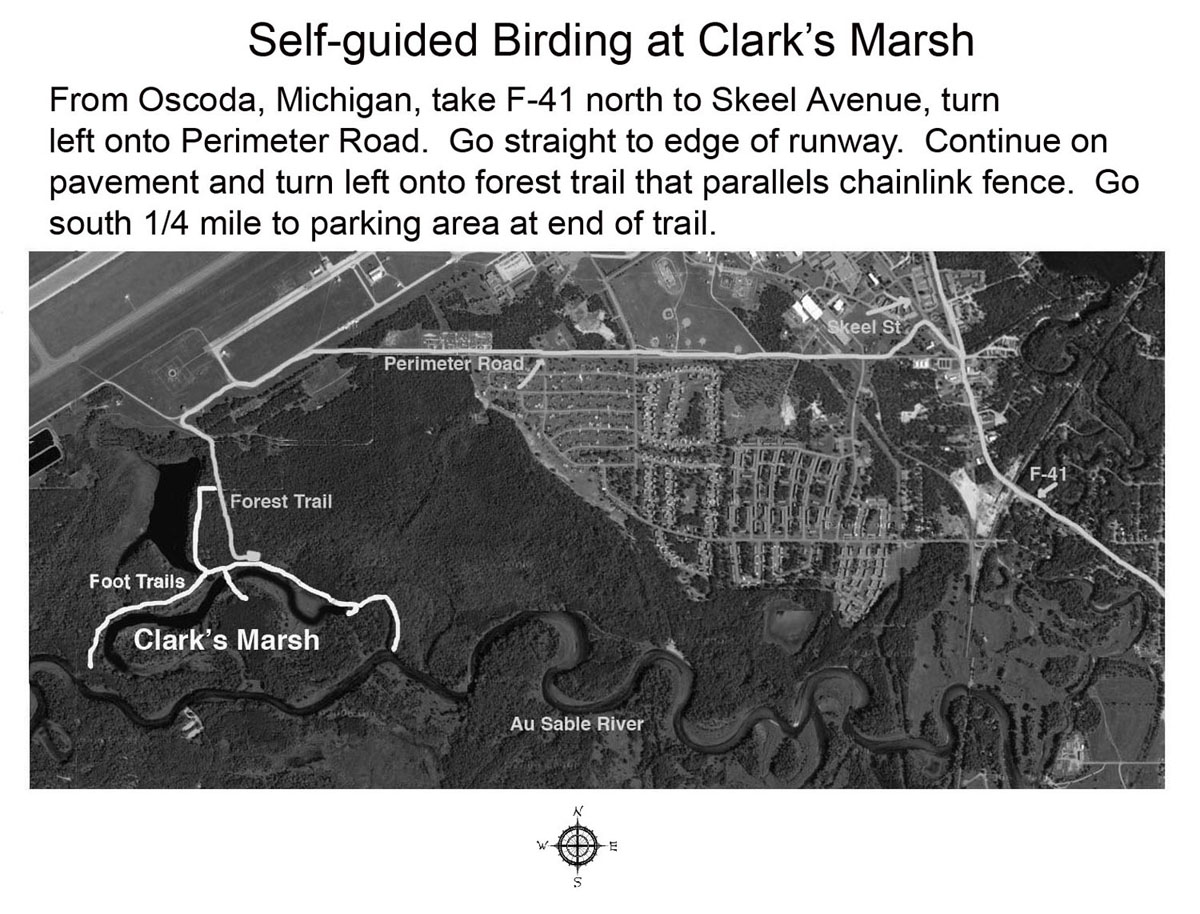 Clarks Marsh Self Guided Map